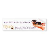 In Your Hands (Puppy) Bumper Sticker