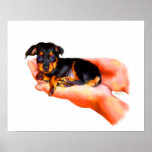 In Your Hands (Puppy) Fine Art Print