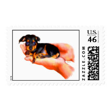 In Your Hands (Puppy) Stamps