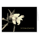 In your time of sorrow cards by Rainmountain In your time of sorrow cards