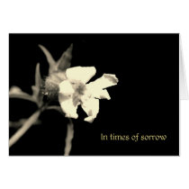 In your time of sorrow cards by Rainmountain In your time of sorrow cards