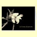 In your time of sorrow cards