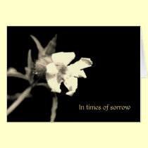 In your time of sorrow cards