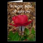 In your time of sorrow cards