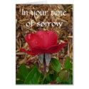 In your time of sorrow cards