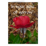 In your time of sorrow cards