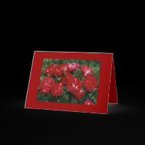 IN YOUR TIME! SYMPATHY CARD