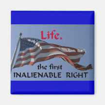 Inalienable Right Fridge Magnets