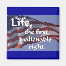 Inalienable Right Refrigerator Magnets