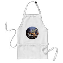 Inaugural 2013 aprons
