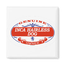Inca Hairless Dog  magnets