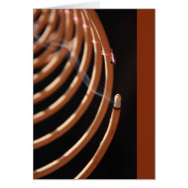 Incense Coil Note Card cards