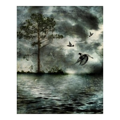 Incessant Flight Print by kklawiter