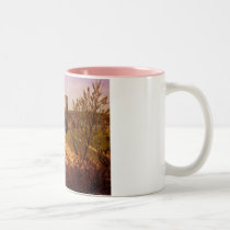 Inchcolm Abbey mugs