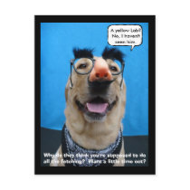 Incognito postcards