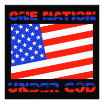 Independence Day Party Invitation invitations