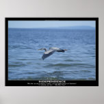 INDEPENDENCE Great Blue Heron Motivational Poster posters
