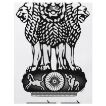 India Ashoka Chakra flyers
