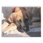 india wall calendar