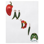 India Chili Peppers Full Color Flyer