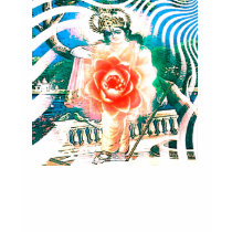 india light lotus by gregory gallo t-shirts