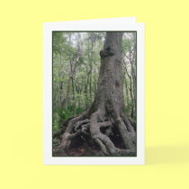 Indian Artifact Greeting Card cards
