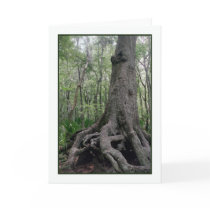 Indian Artifact Greeting Card