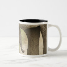 Indian / Asian Elephant and young one,Corbett Mugs