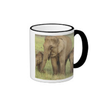 Indian / Asian Elephant and young ones,Corbett Coffee Mugs