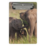 Indian Asian Elephant family in the savannah Mini Clipboard