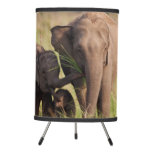 Indian Asian Elephant family in the savannah Tripod Lamp