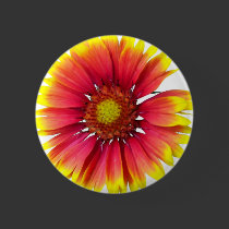 Indian Blanket Flower buttons