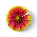 Indian Blanket Flower buttons
