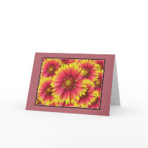 Indian Blanket Flower cards