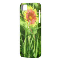 Indian Blanket iPhone Case iPhone 5 Case