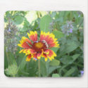 Indian Blanket mousepads by codfishlady Indian Blanket mousepads