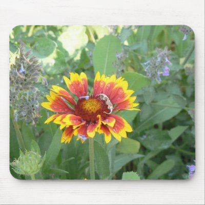 Indian Blanket Mouse Mat by codfishlady