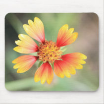 Indian Blanket Mousepad