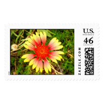 Indian Blanket postage by princessklb07 Indian Blanket postage