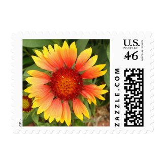 Indian Blanket stamp
