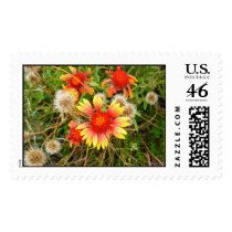 Indian Blanket postage by princessklb07 Indian Blanket postage