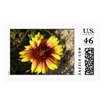 Indian Blanket. stamps