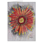 Indian Blanket Wildflower Greeting Cards