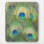 Indian Blue Peacock Feathers Mouse Mat