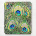 Indian Blue Peacock Feathers mousepads