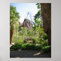 Indian Canyon 3 Print