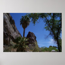 indian canyons posters