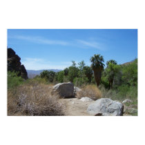 indian canyons posters