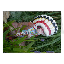 Indian Chief cards