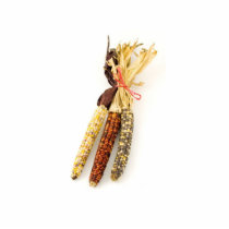 Indian Colourised Corn On White Background photo sculptures by lifesphere Indian Colourised Corn On White Background photo sculptures